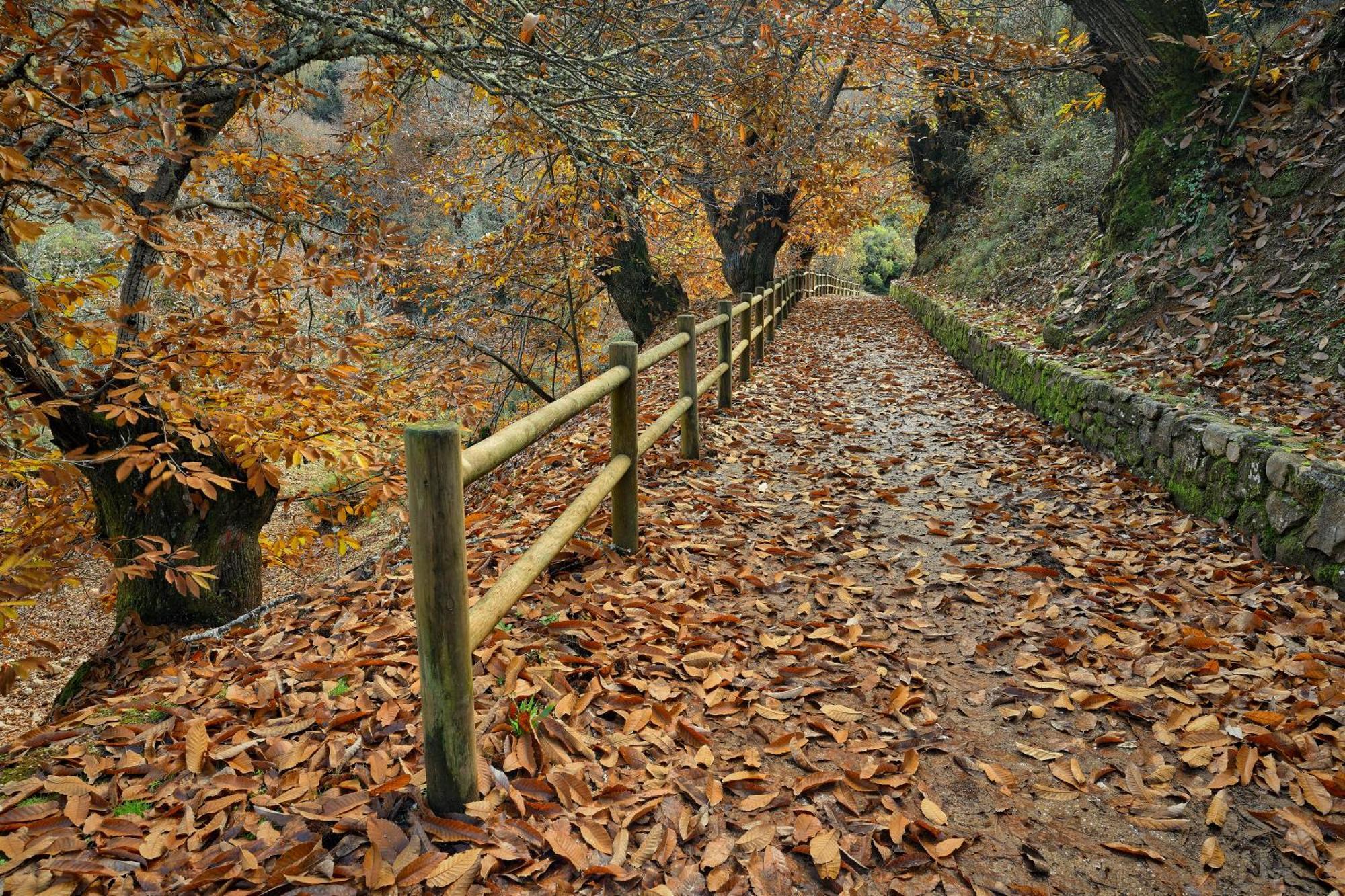 Lares - Cabanas Rurales Las Médulas Exteriér fotografie